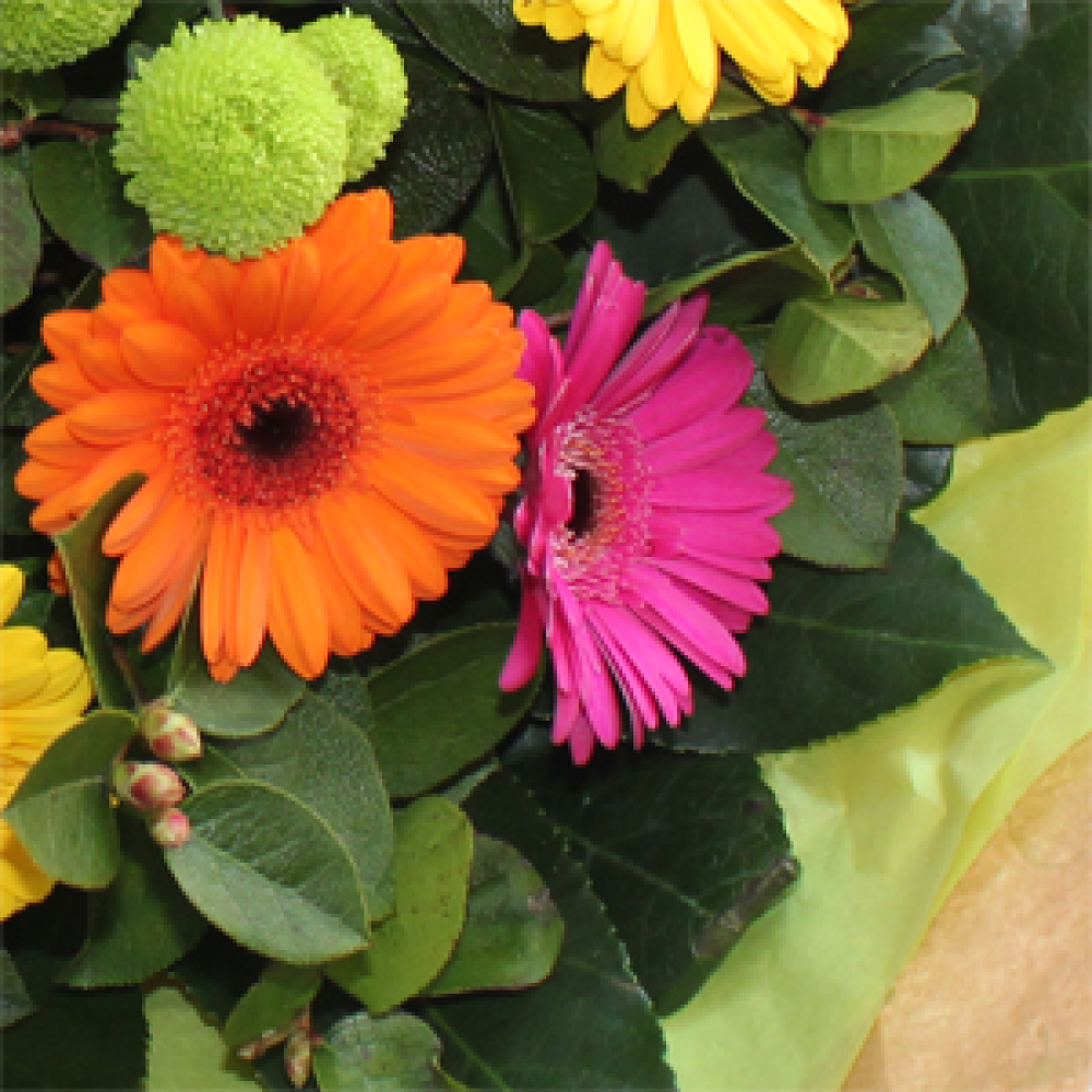 Florist Choice Bright